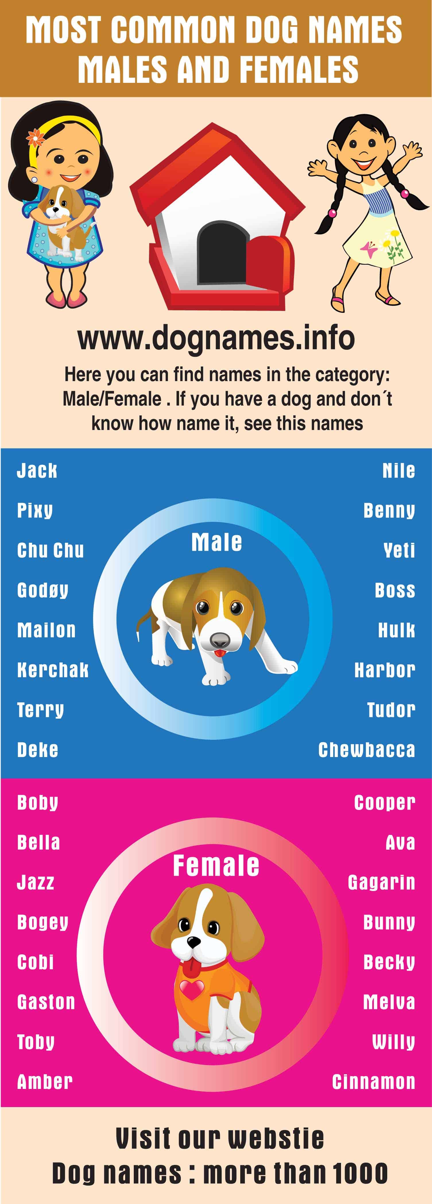 Most Popular Dog Names 2017 Dog Names