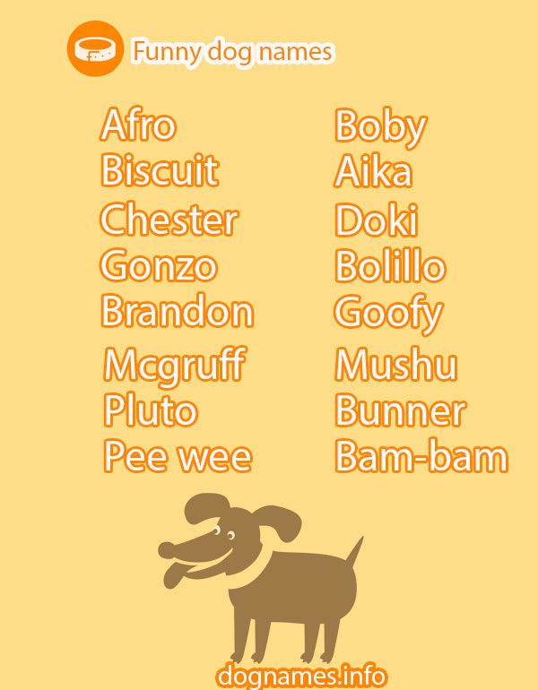 Funny Dog Names Dognames info